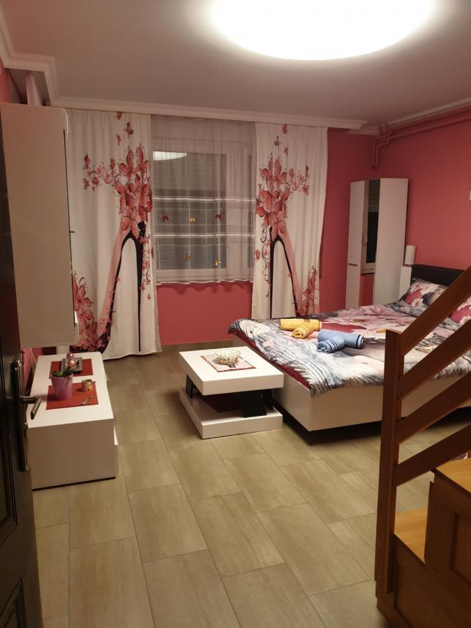 Kolibri 2 Vendeghaz Apartment Morahalom Bagian luar foto